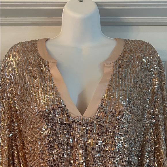 Scoop Rose Gold Sequin Dress - Picture 2 of 5